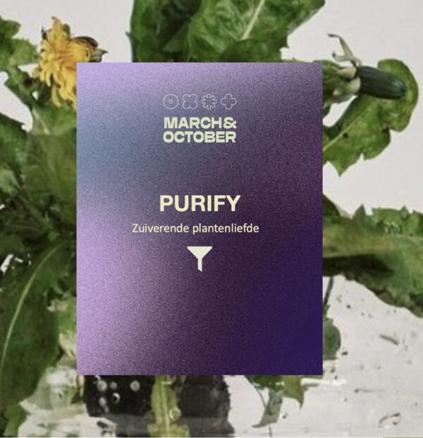 Kruidenthee Purify - March and October - Huiszwaluw